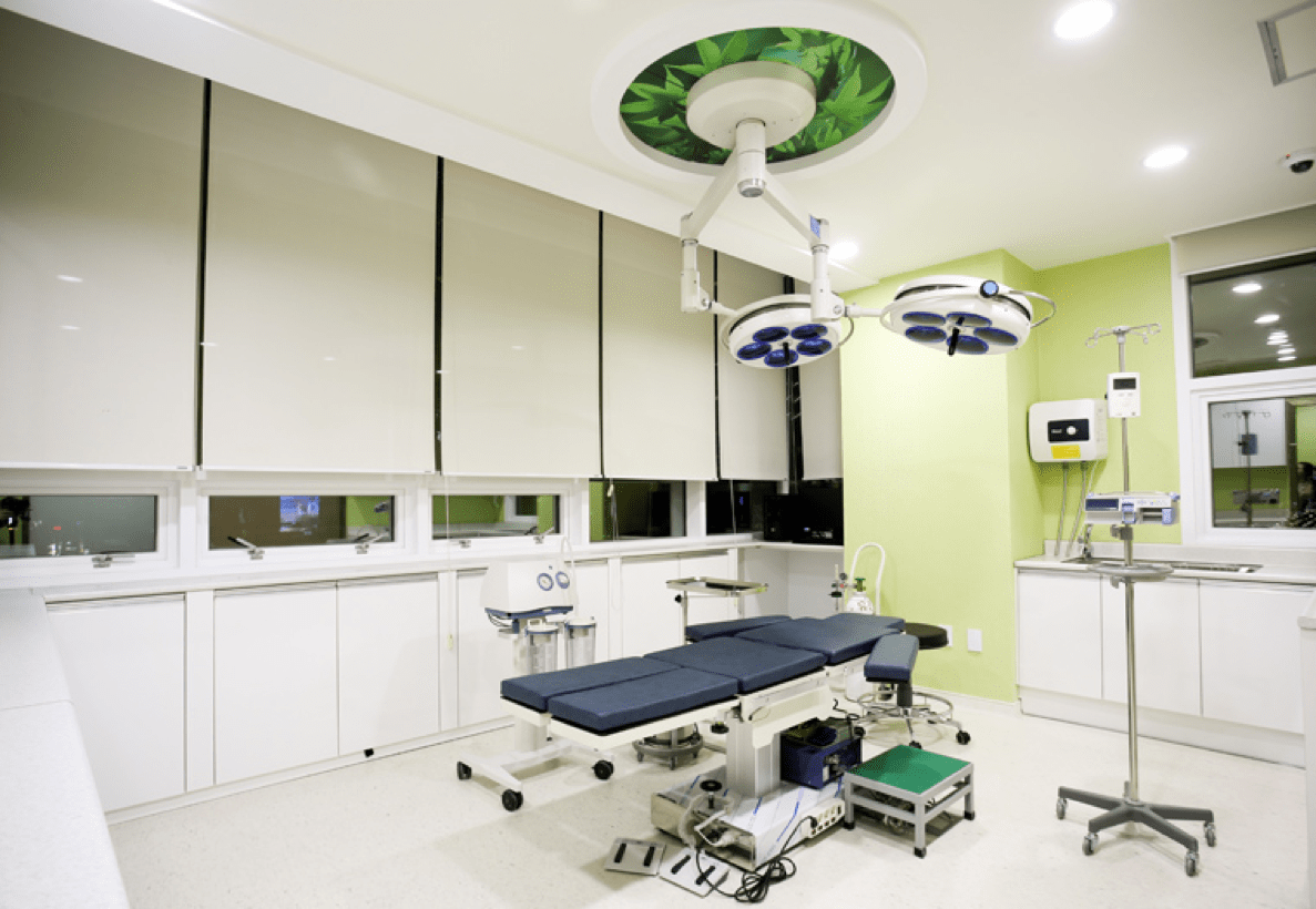 Hospital Tour